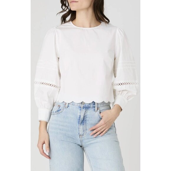French Connection Romantic Lace Long Sleeve Cotton Top Size Small - Picture 1 of 9